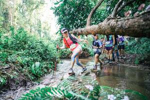 BIB: 
                            <button type="button" onclick="openModal(25476813)" class="btn btn-primary btn-sm float-right btn-popup" data-toggle="modal" data-target=".modal-high-quality">
                        <i class="fas fa-shopping-cart"></i> Add to Cart
                    </button>
                                            <button type="button" onclick="isThisMe(25476813, true)" class="btn btn-success btn-sm float-right btn-popup btn-isme hidden" data-toggle="tooltip" data-placement="bottom" title="นี่คือรูปของคุณใช่ไหม คลิกที่นี่เพื่อเอาเข้าอัลบั้ม">
                        <i class="fas fa-plus"></i> Add to album
                    </button>
                    <button type="button" onclick="isThisMe(25476813, false)" class="btn btn-warning btn-sm float-right btn-popup btn-isnotme hidden">
                        <i class="fas fa-ban"></i> Remove from album
                    </button>